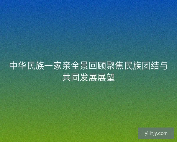 中华民族一家亲全景回顾聚焦民族团结与共同发展展望